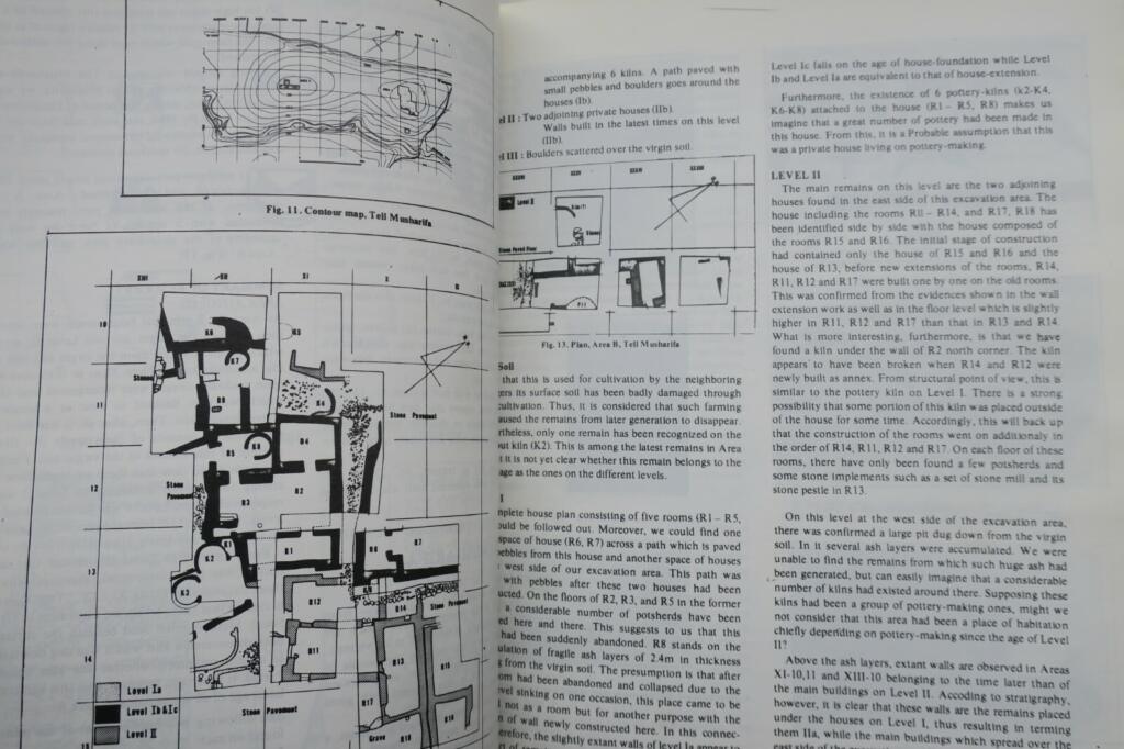 Iraqi antiquities research and salvage documentation