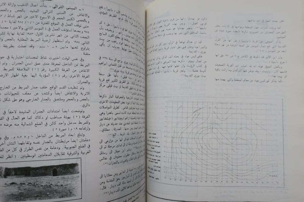 Iraqi antiquities research and salvage documentation