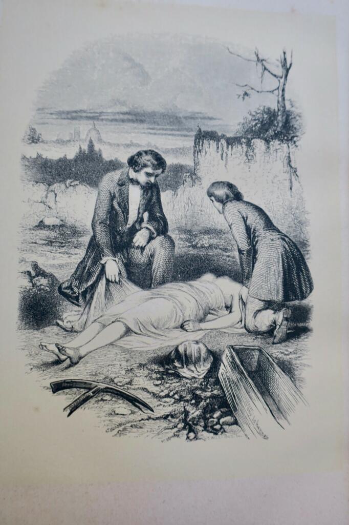 Satirical novel with Johannot illustrations