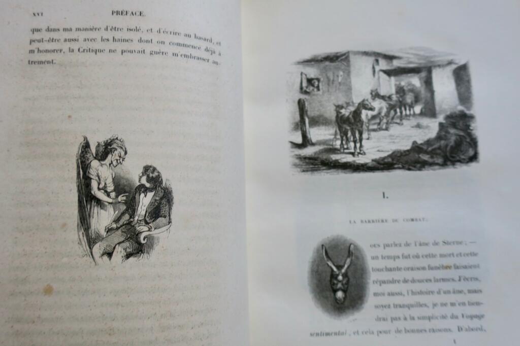 The Dead Donkey - Original illustrated edition
