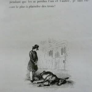 Janin L'Ane Mort édition originale/cartonnage originale illustré par Johannot