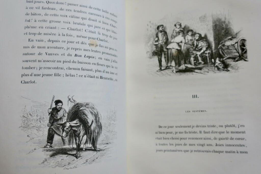 The Dead Donkey - Original illustrated edition