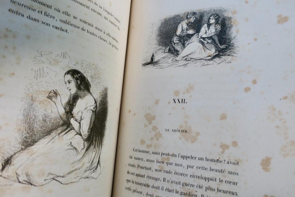 The Dead Donkey - Illustrated First Edition