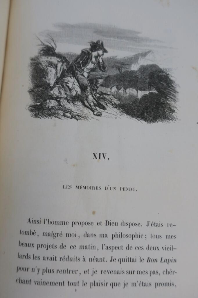 The Dead Donkey - Illustrated First Edition