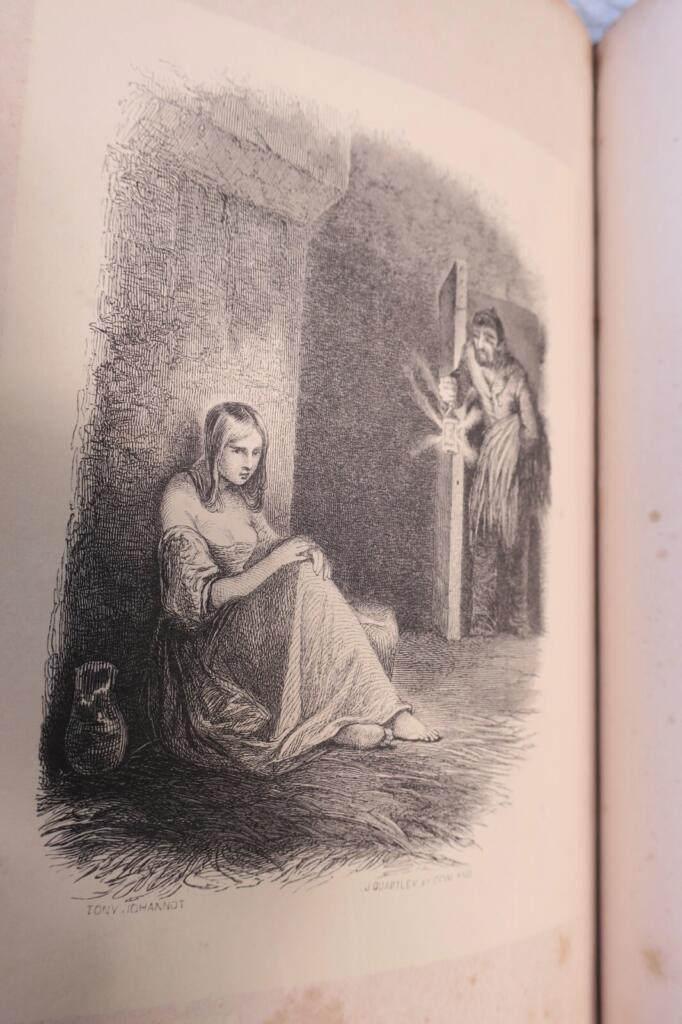 The Dead Donkey - Illustrated First Edition
