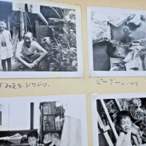 japon albums 818 photos argentiques