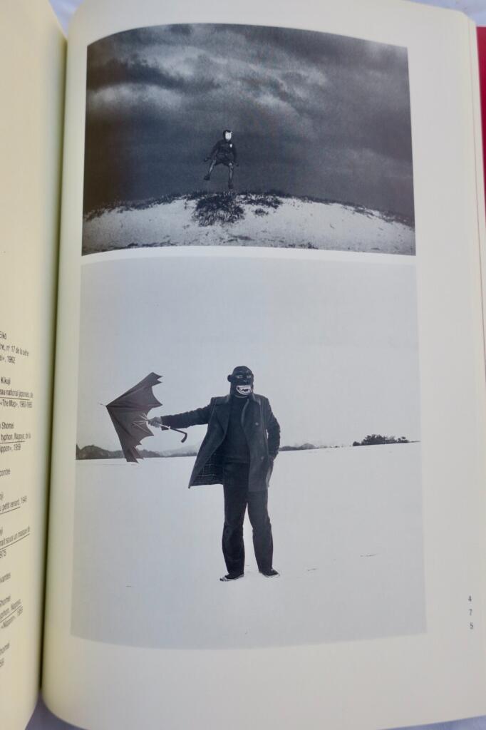 Japanese Avant-Garde Movements 1910-1970