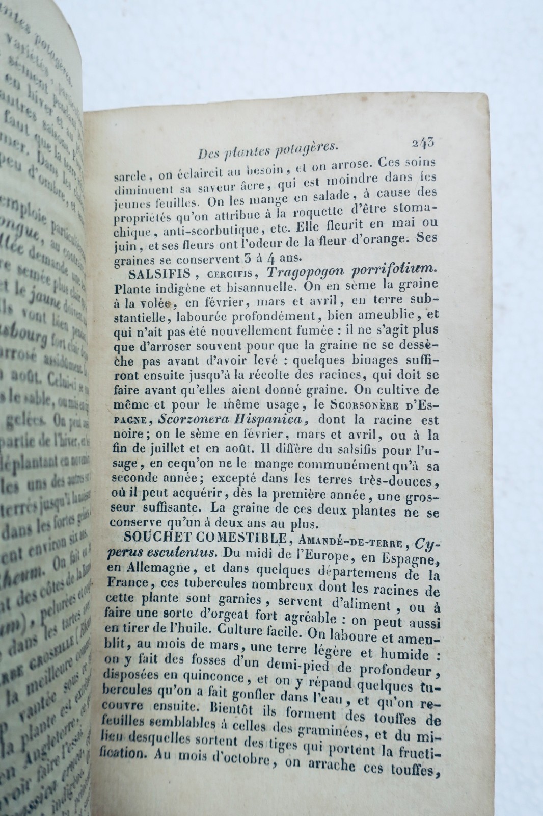 JARDIN bon jardinier. Almanach agricole pour l'année 1822 – Image 5