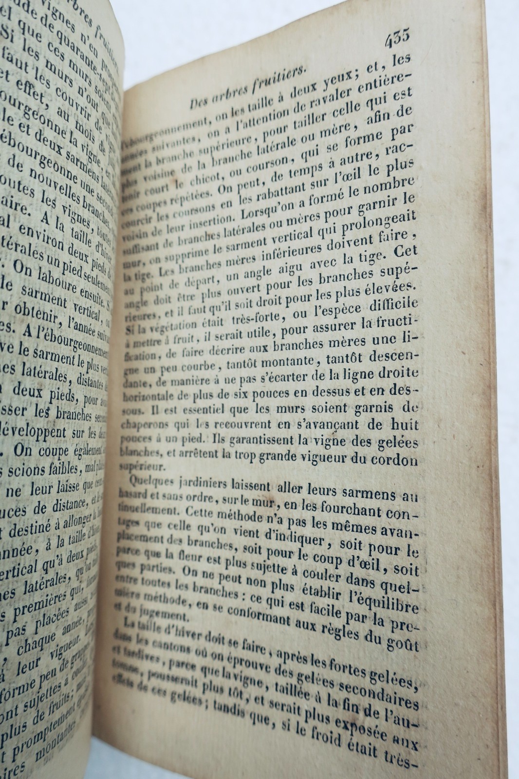 JARDIN bon jardinier. Almanach agricole pour l'année 1822 – Image 6