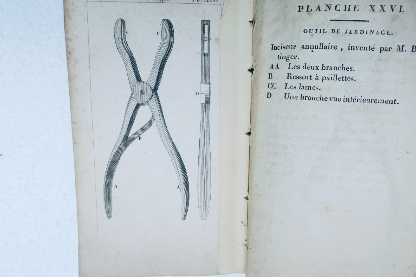 JARDIN bon jardinier. Almanach agricole pour l'année 1822 – Image 14