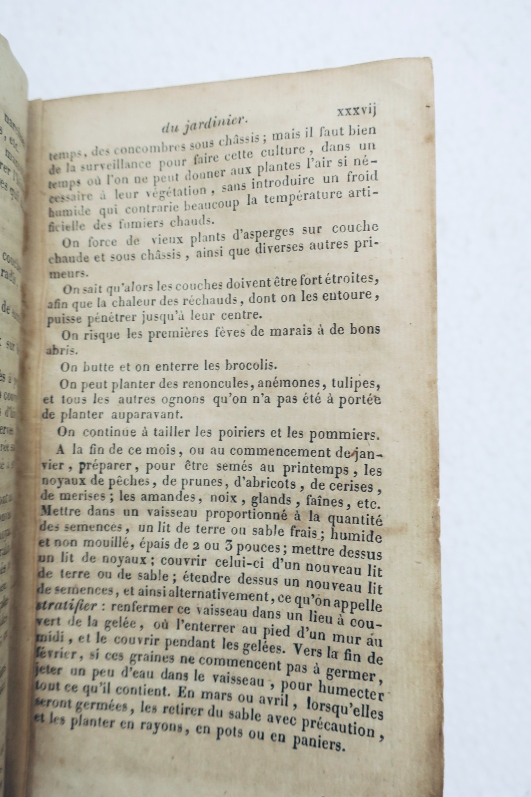 JARDIN bon jardinier. Almanach agricole pour l'année 1822 – Image 7