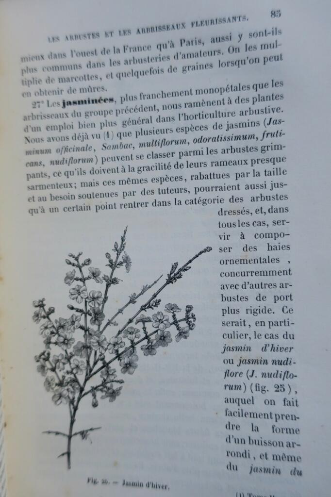 Jardin Decaisne Naudin Manuel de l’amateur des jardins, Horticulture