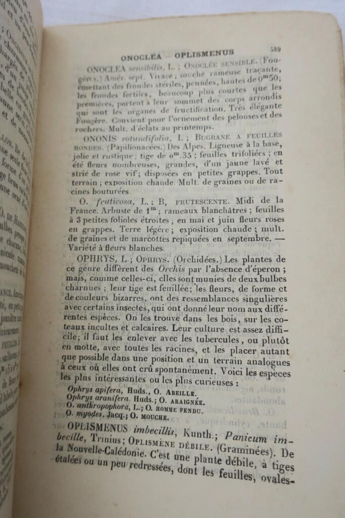 Gartenbau-Almanach 1889