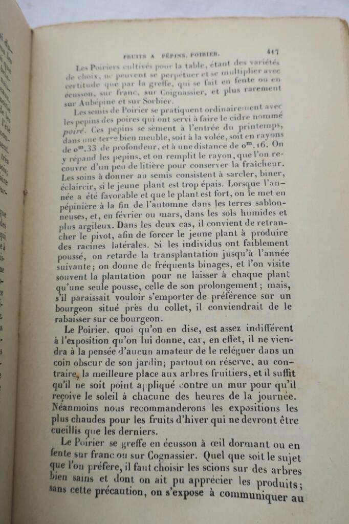 Gartenbau-Almanach 1889