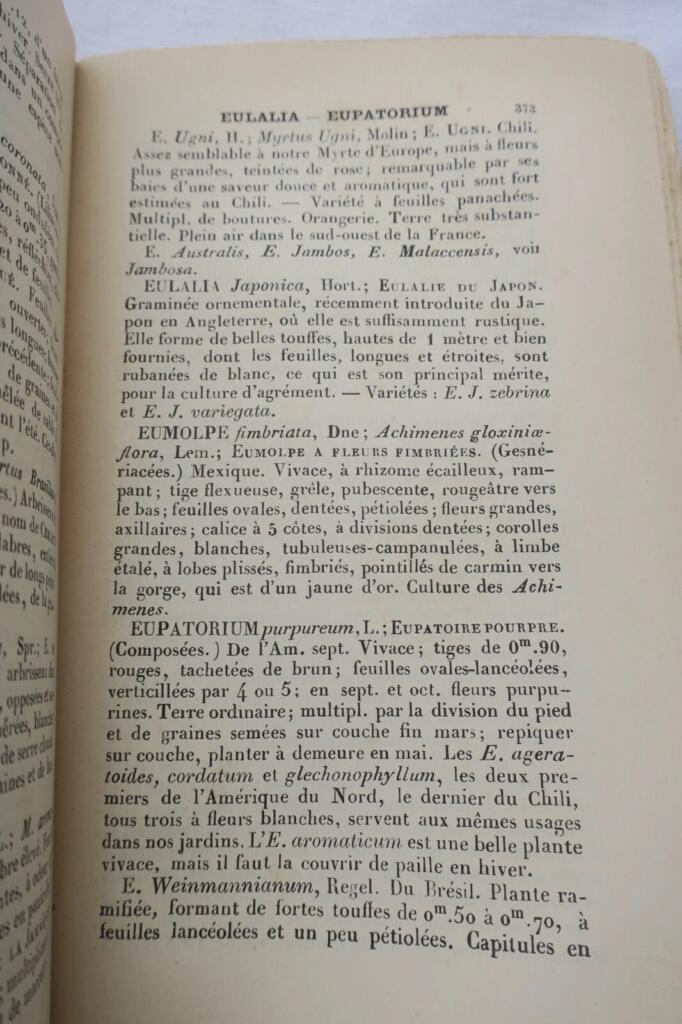 Gartenbau-Almanach 1889