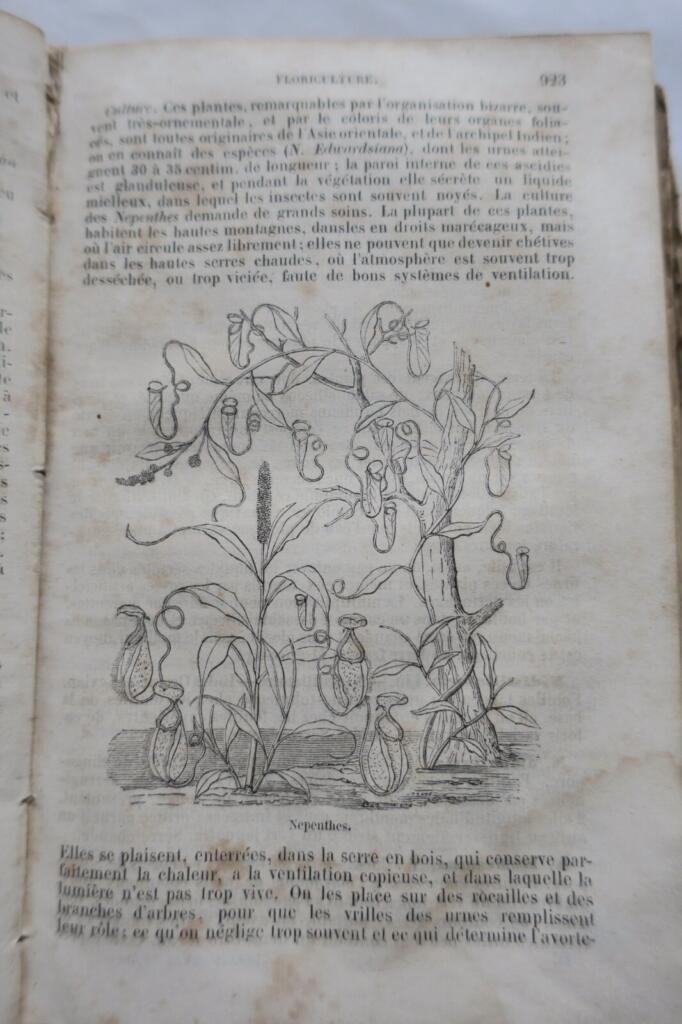 The New Illustrated Gardener 1865