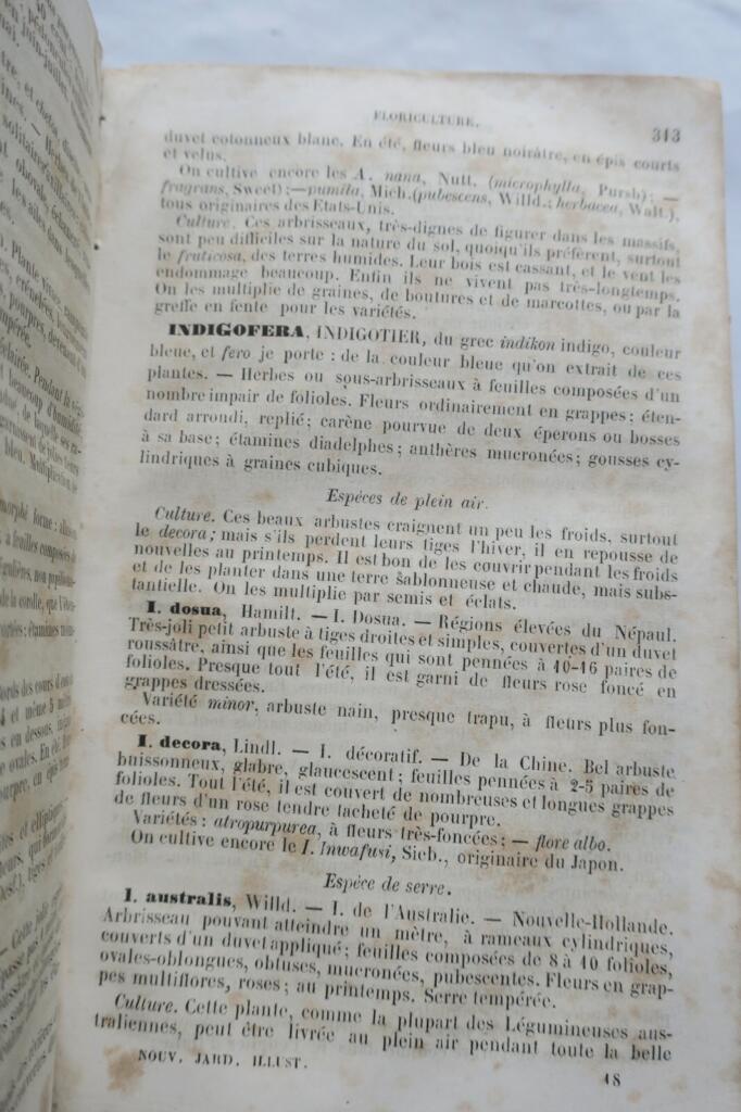 The New Illustrated Gardener 1865
