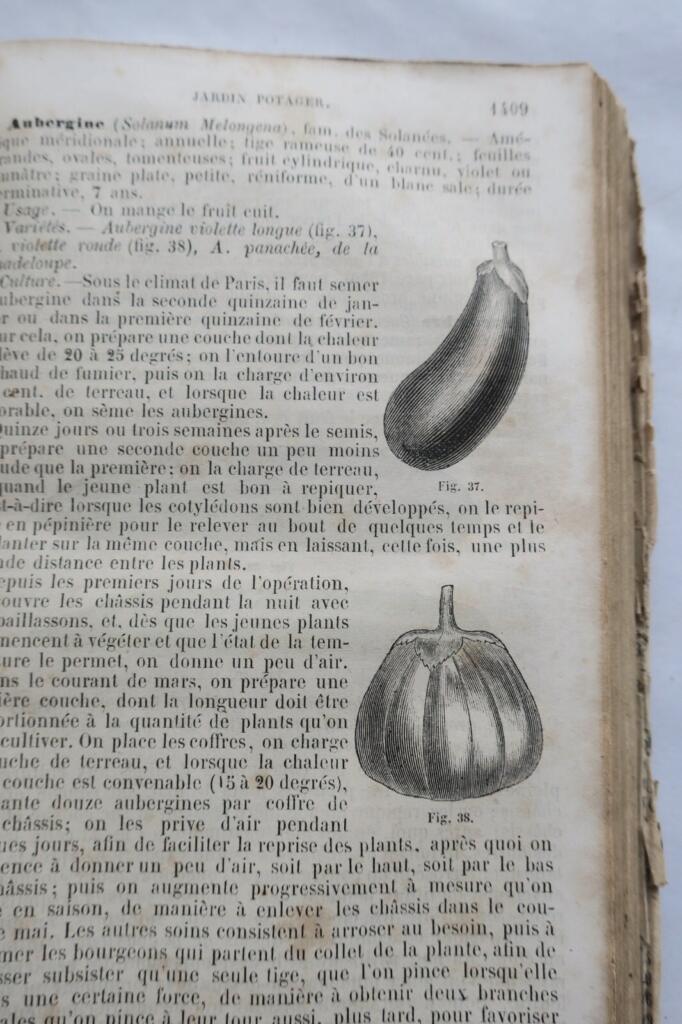 The New Illustrated Gardener 1865