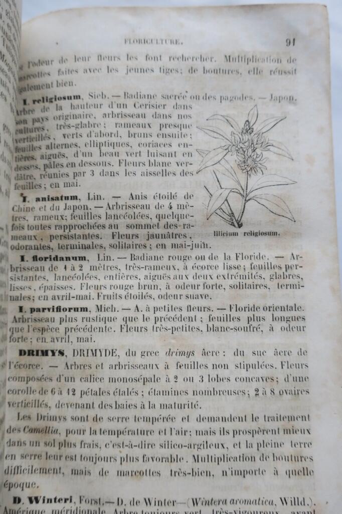 The New Illustrated Gardener 1865
