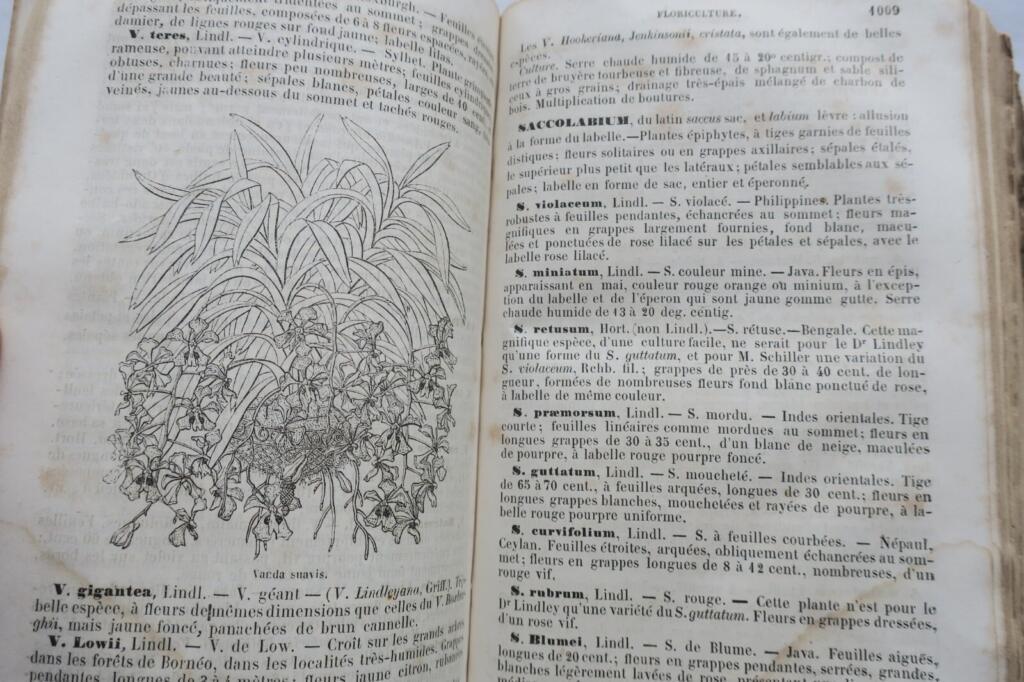 The New Illustrated Gardener 1865