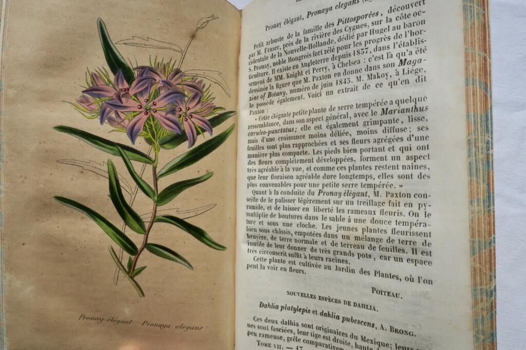 Gartenbau-Insights von 1845-1846