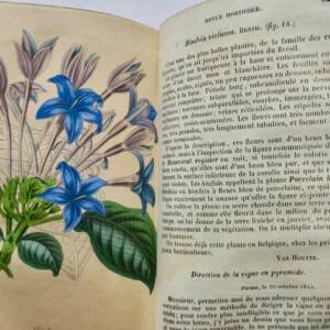 Jardin Revue Horticole avril 1845-mars 1846