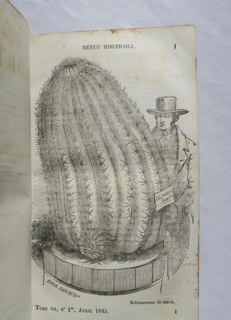 Gartenbau-Insights von 1845-1846