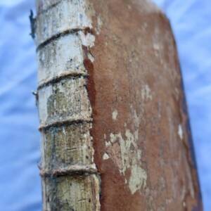 Jardin Théorie et la Pratique du Jardinage et de L'Agriculture ...1767