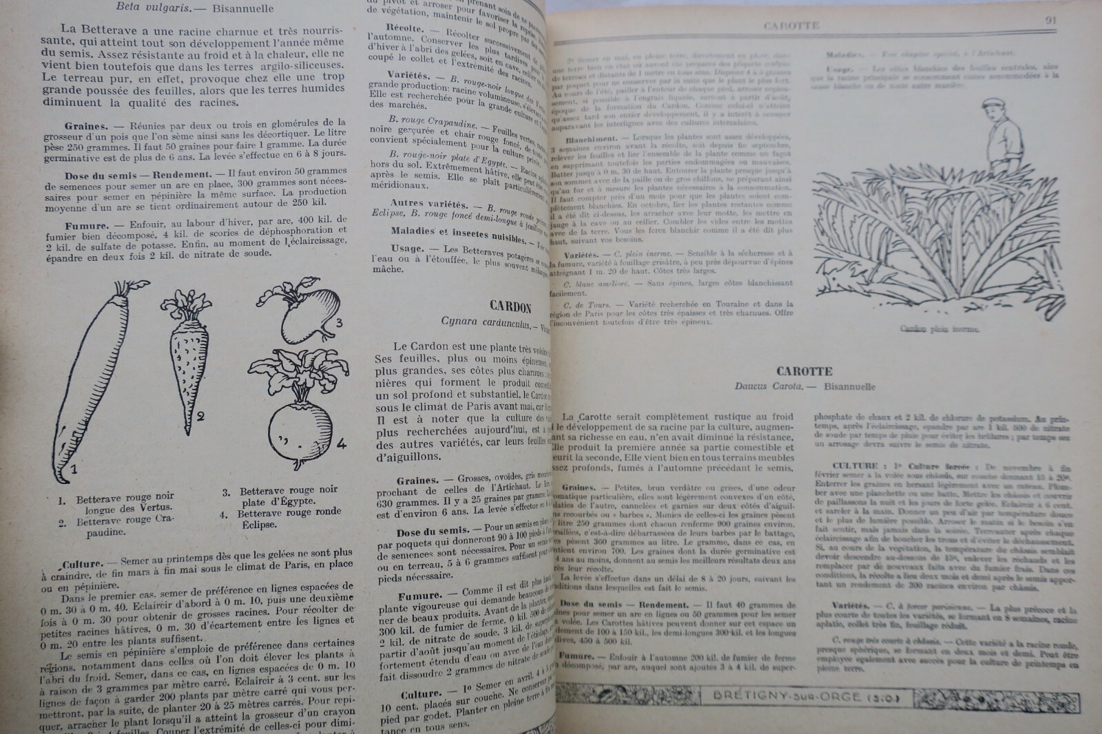 Jardin TRAITE DES TRAVAUX DU JARDINAGE - GUIDE CLAUSE – Image 6