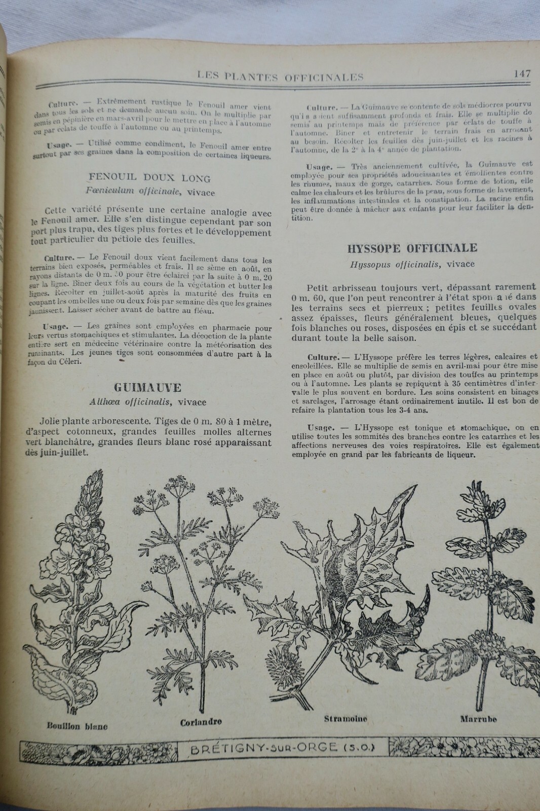 Jardin TRAITE DES TRAVAUX DU JARDINAGE - GUIDE CLAUSE – Image 4