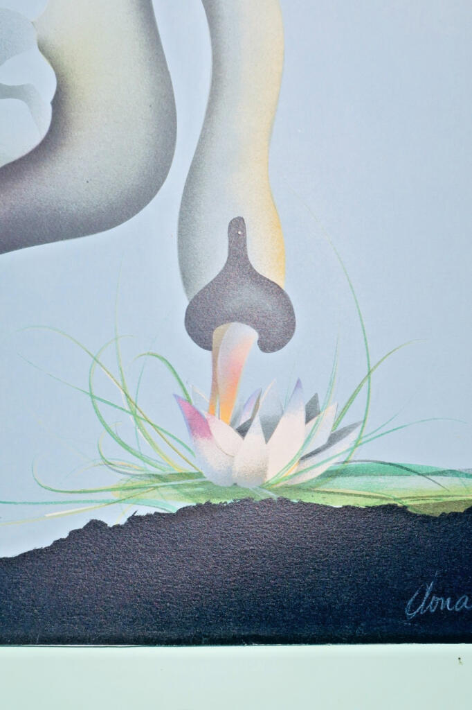 Schwan und Seerose von Donadini