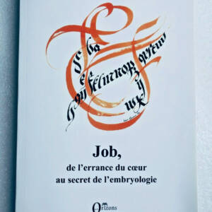 Job, de l'errance du coeur au secret de l'embryologie