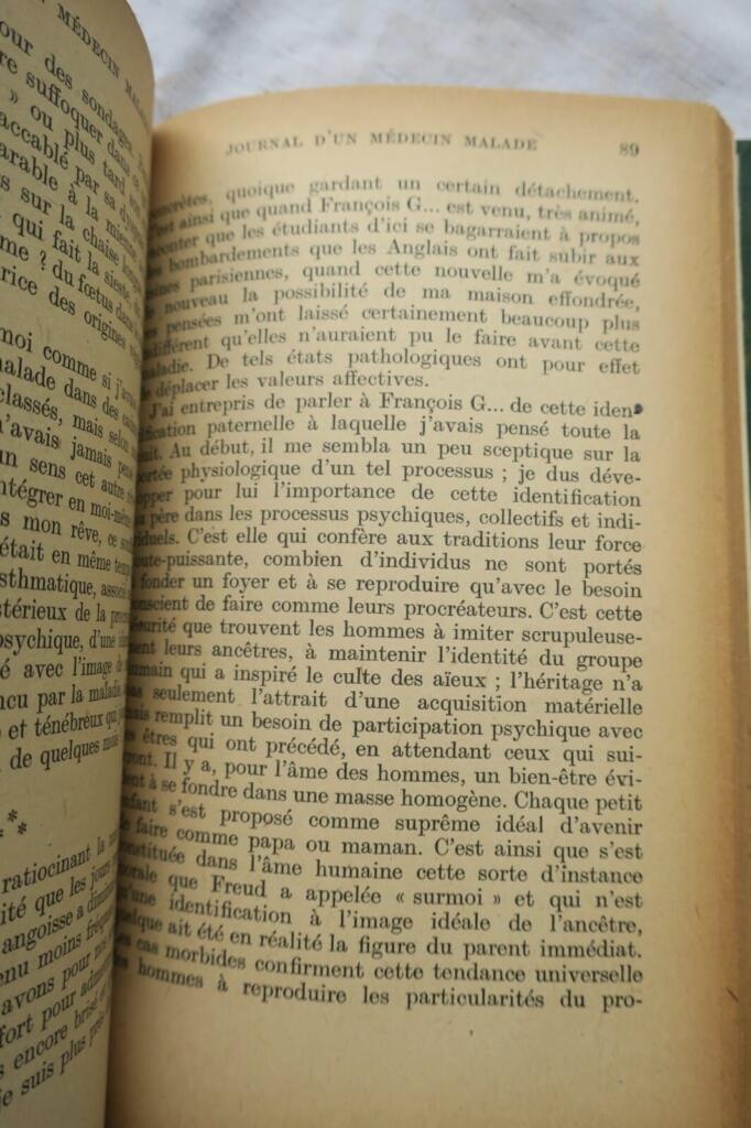 JOURNAL D&rsquo;UN MEDECIN MALADE OU SIX MOIS DE LUTTE CONTRE LA MORT.