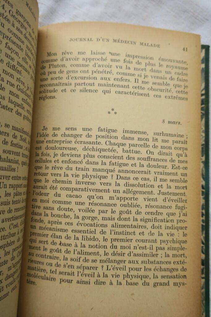 JOURNAL D&rsquo;UN MEDECIN MALADE OU SIX MOIS DE LUTTE CONTRE LA MORT.