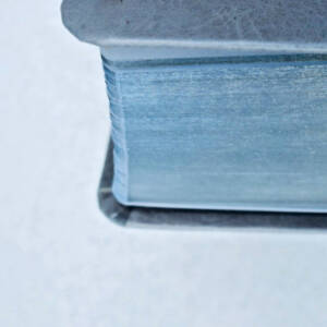 La Bible. Traduction du Monde Nouveau Tranches argentées