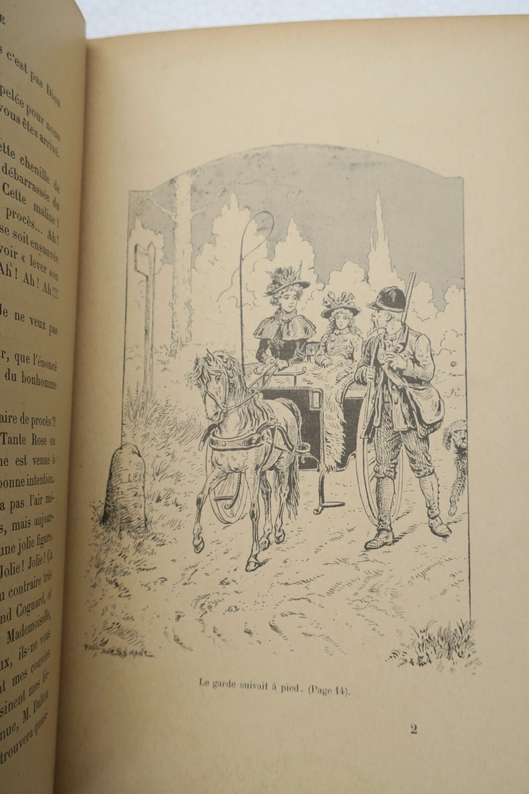 Aunt Rose’s Farm by Paul de Sémant – Image 4