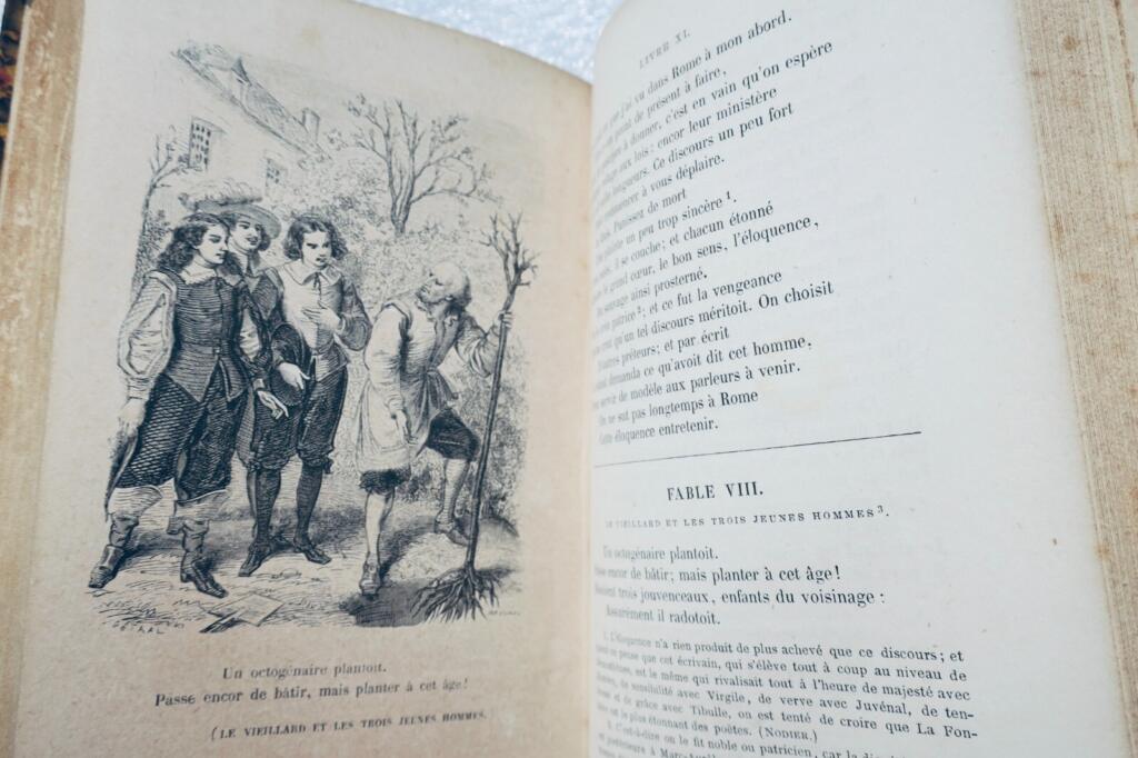 Fabeln mit Einsichten und Illustrationen