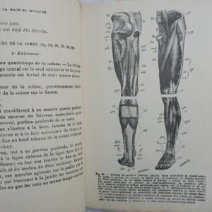 LA MACHINE HUMAINE ANATOMIE MECANIQUE PHYSIOLOGIE