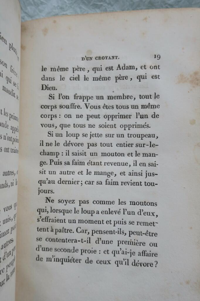 Félicité de Lamennais' revolutionärer Glaubensappell