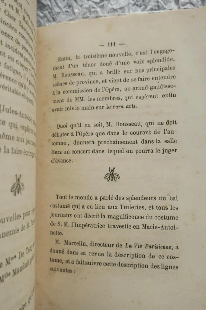 La mouche 1866