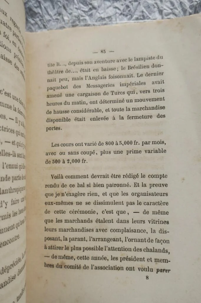 La mouche 1866
