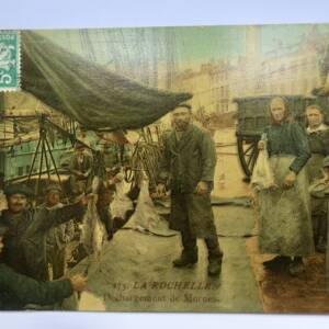 LA ROCHELLE Dechargement de Morues