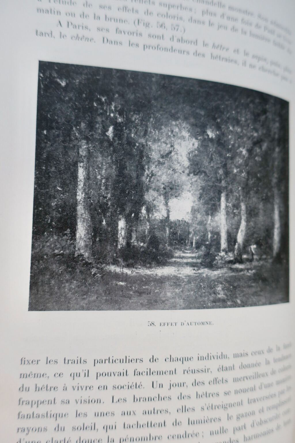 Ungarischer Meister der Barbizon-Landschaft