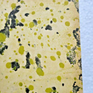 LAIS DE MARIE FRANCE Piazza