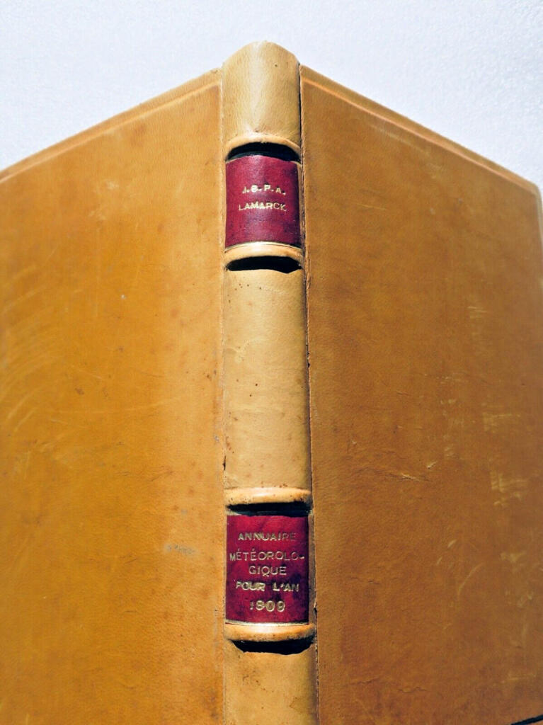 Annual meteorological observations and predictions