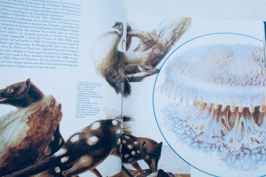 Lapérouse Les esprits de Vanikoro : le mystère Lapérouse