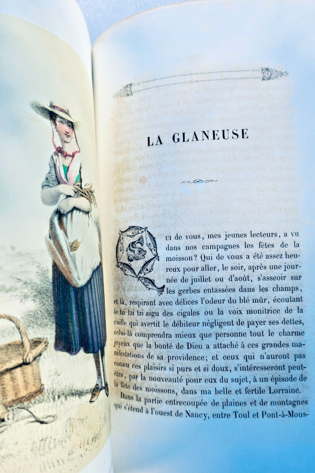 LASSALLE BOZERIAN Des ESSARTS Les Enfants peints d'après nature – Image 10