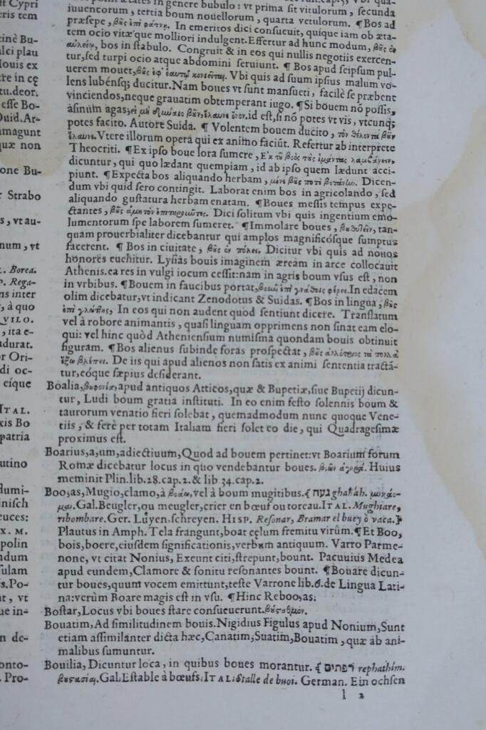 Multilingual Latin Dictionary, 17th Century