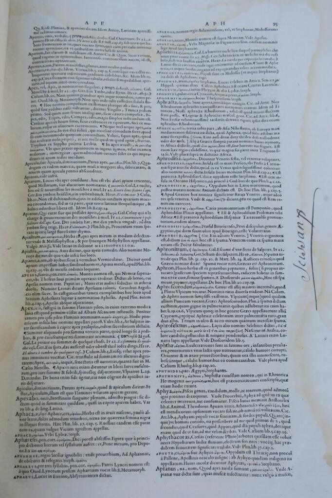 Multilingual Latin Dictionary, 17th Century