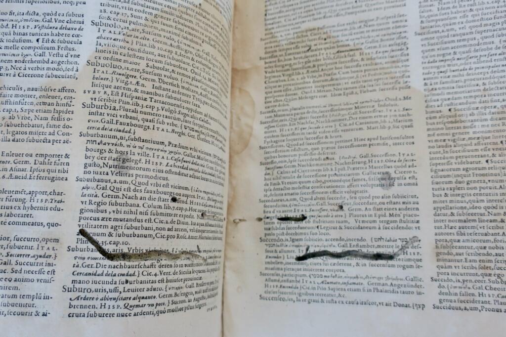 Multilingual Latin Dictionary, 17th Century